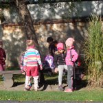 phoca_thumb_m_v zmeck 41 Fotogalerie